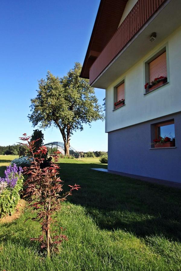 Hisa Na Vrtu Habitación en casa particular